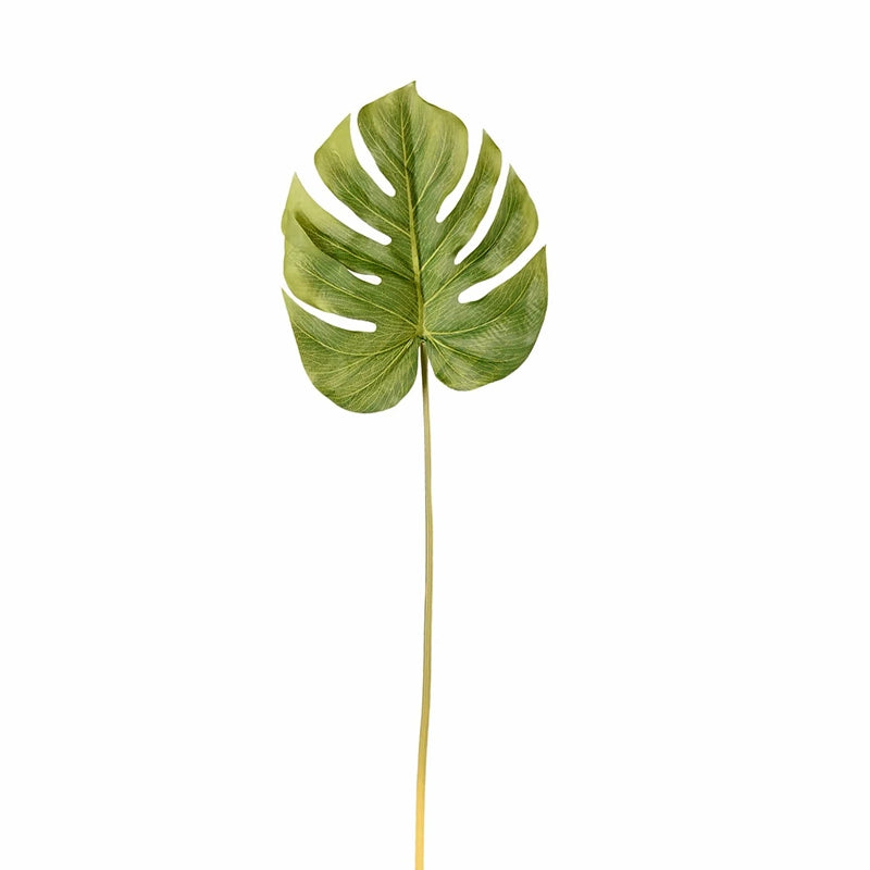 Monstera Leaf