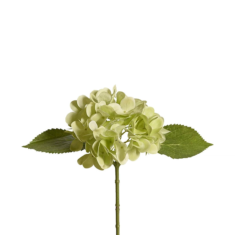 Hydrangea Short Stem
