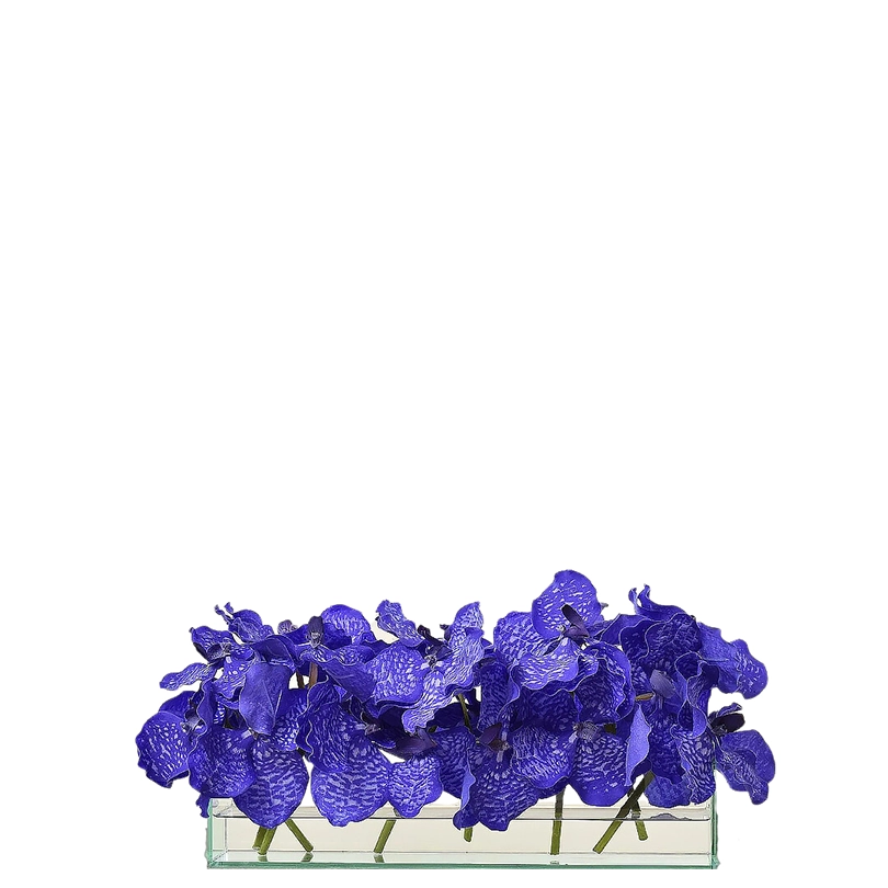 Vanda Arrangement in Rectangual Glass