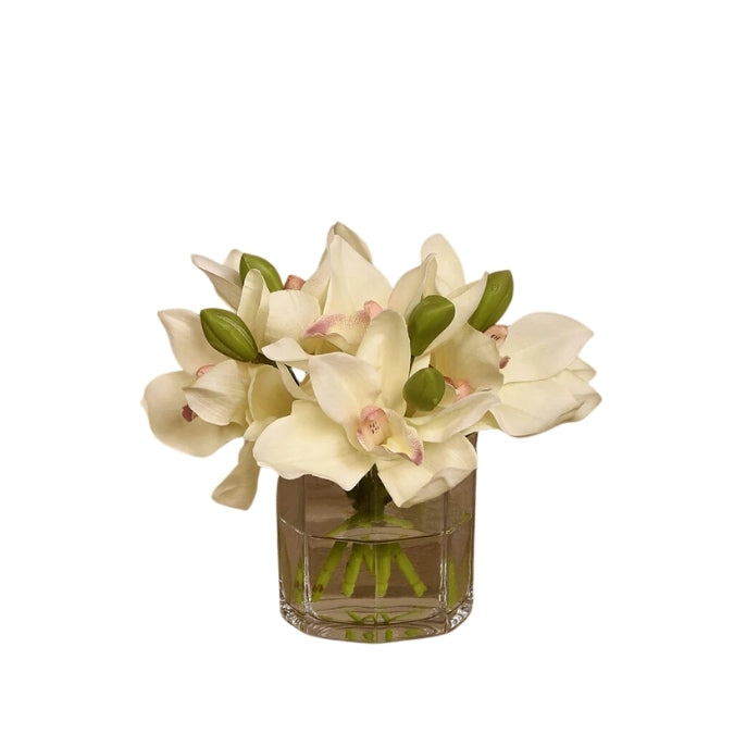White Cymbidium Arrangement in Glass Vase