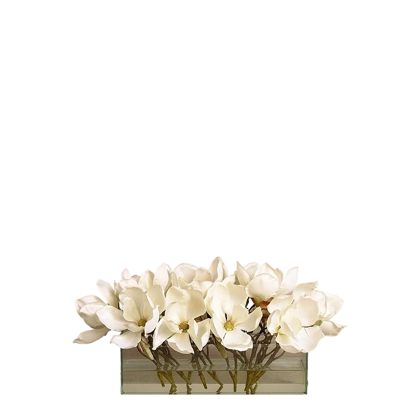 Velvet Magnolia in Glass Vase