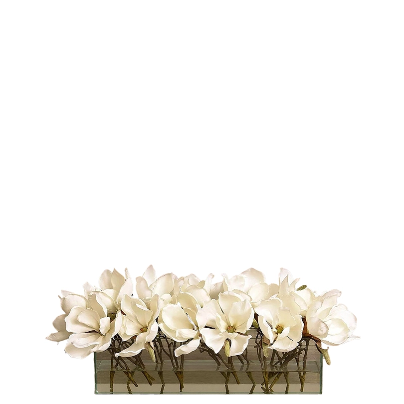 Velvet Magnolia in Glass Vase