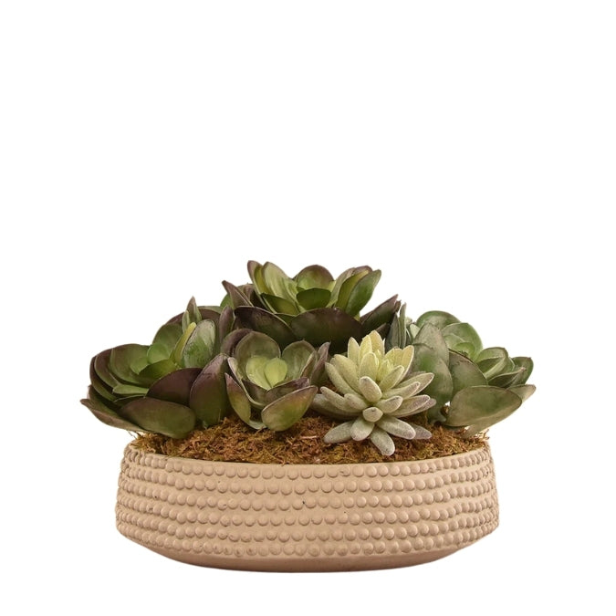 Artificial Succulent Arrangement
