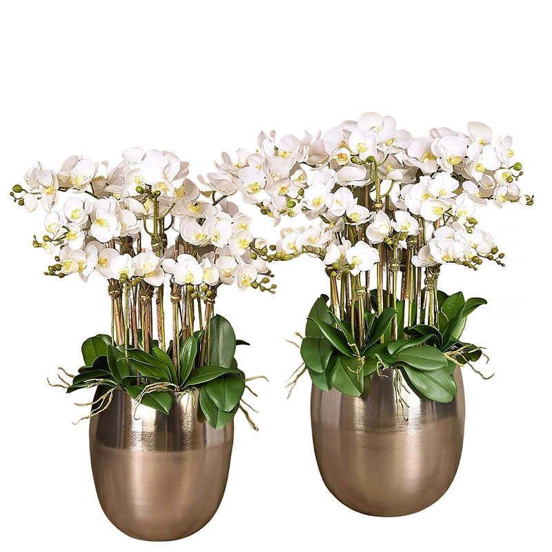 Silver Orchid Arrangement