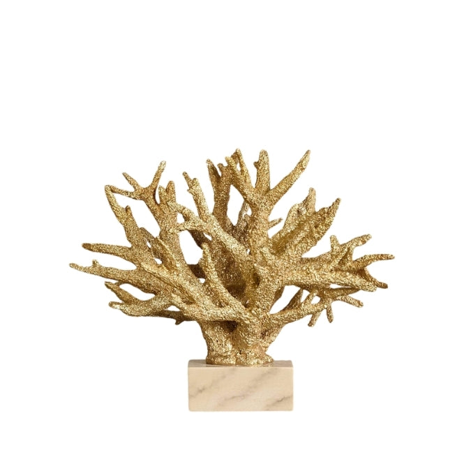 Coral Decoration