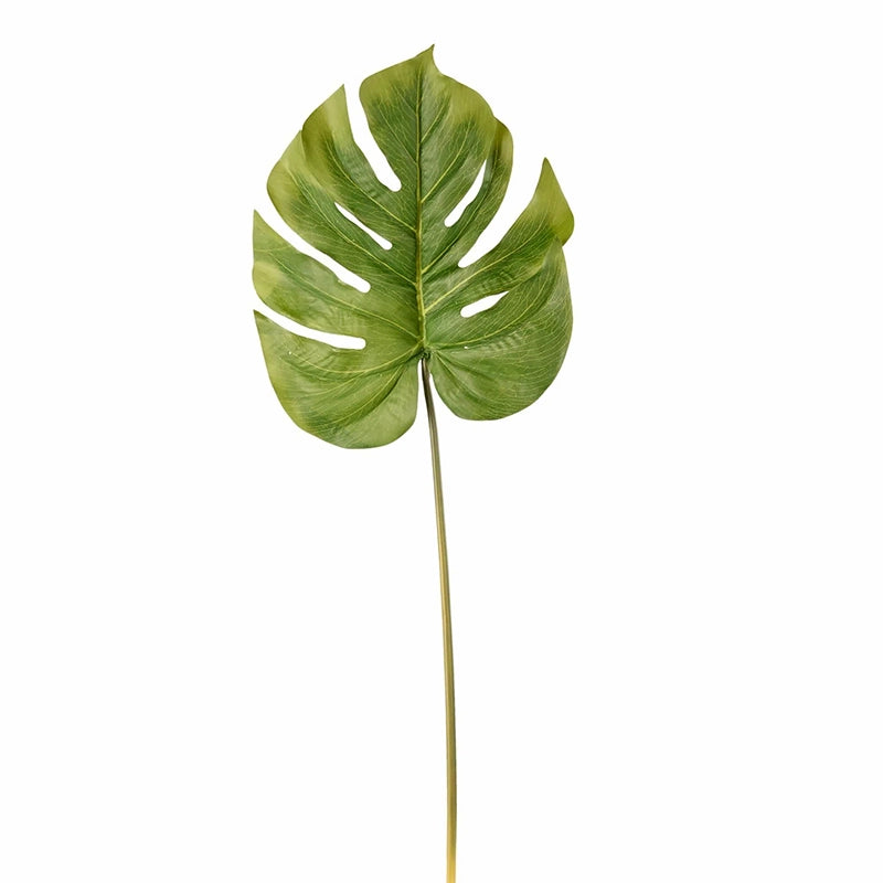 Monstera Leaf