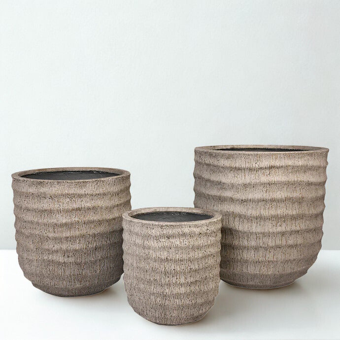 COMING SOON  * Tree  and Plant POTS *