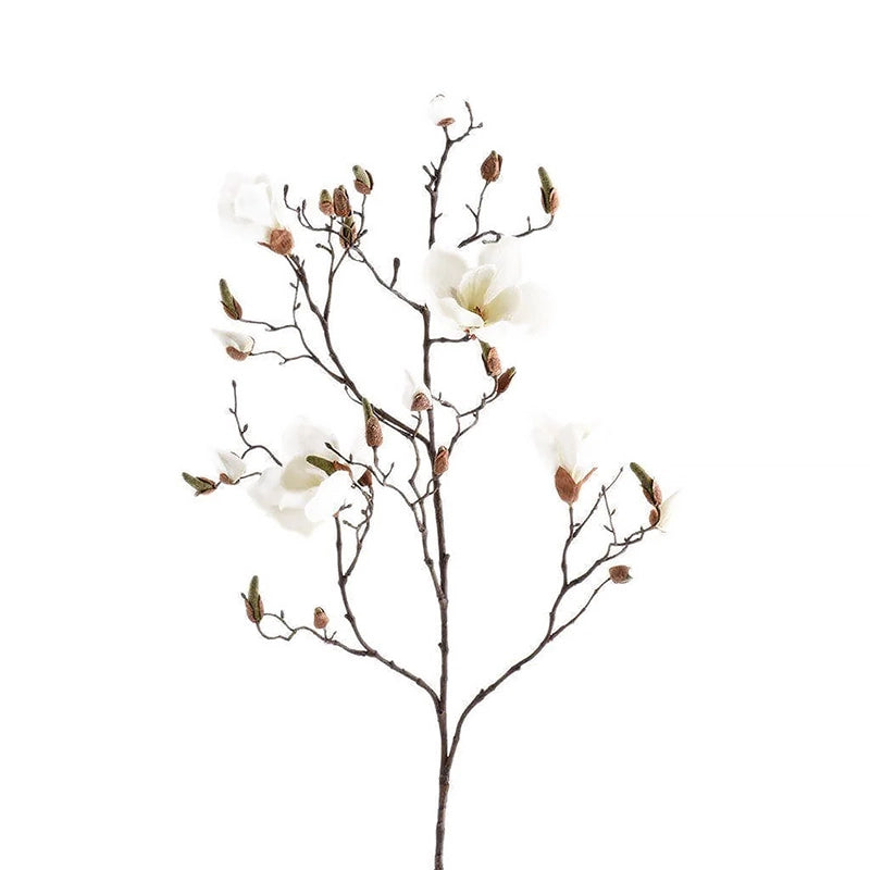 Single 110 cm White Magnolia Stem