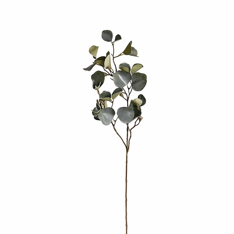 Eucalyptus Large Stem
