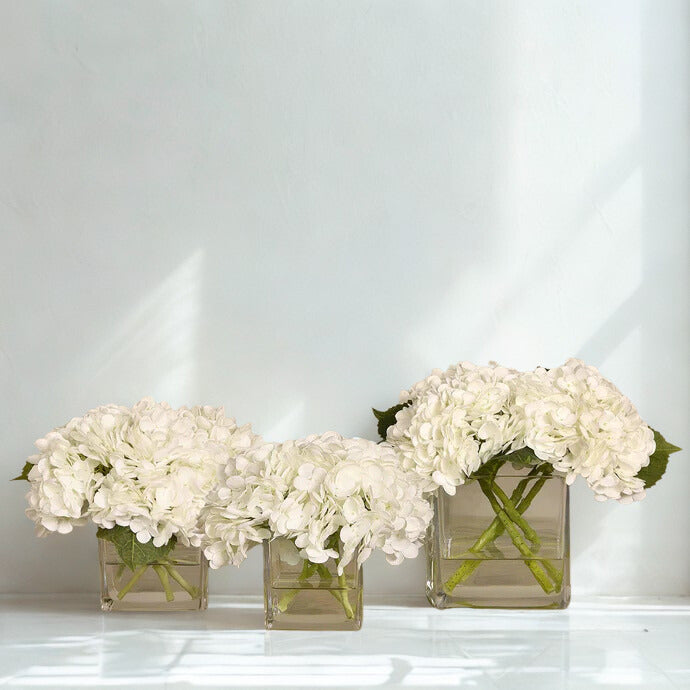 WHITE Hydrangea in a square glass MEDIUM