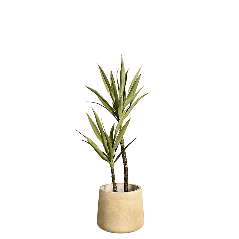 Agave Plant 110 cm