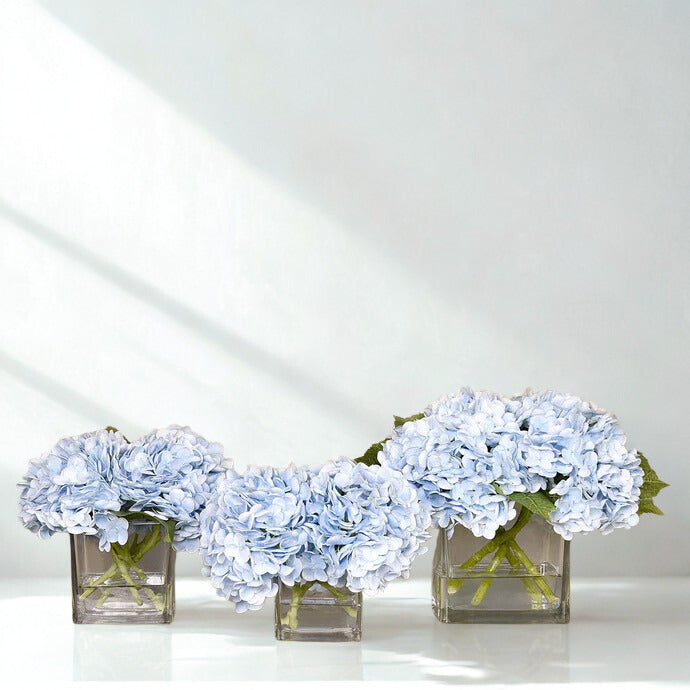 BLUE Hydrangea in a square glass vase SMALL