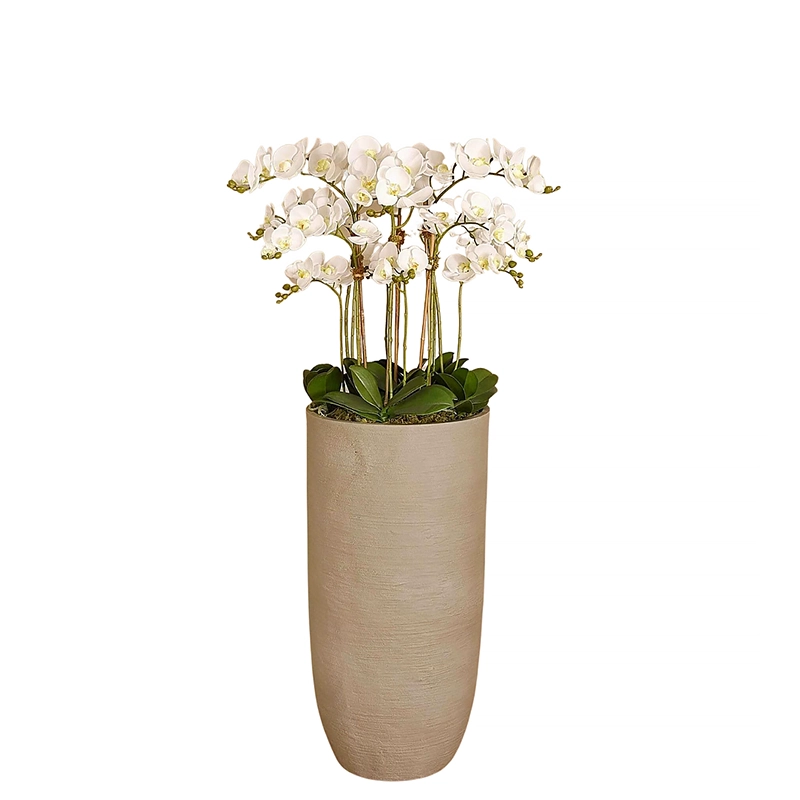 Orchid Arrangement in Stone Pot