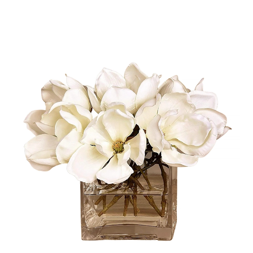 Velvet Magnolia in Square Glass Vase