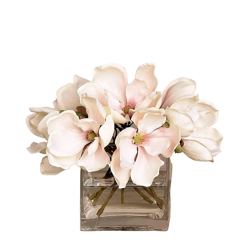 Velvet Magnolia in Square Glass Vase