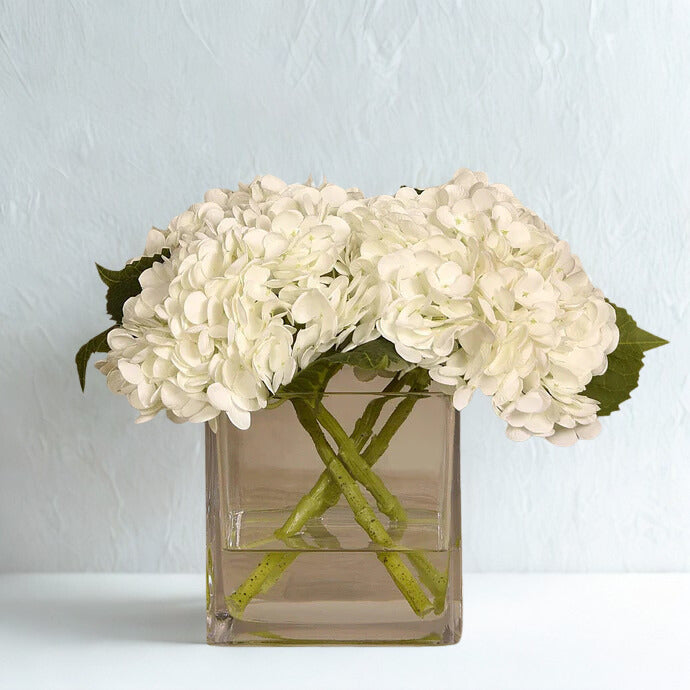 WHITE Hydrangea in a square glass LARGE