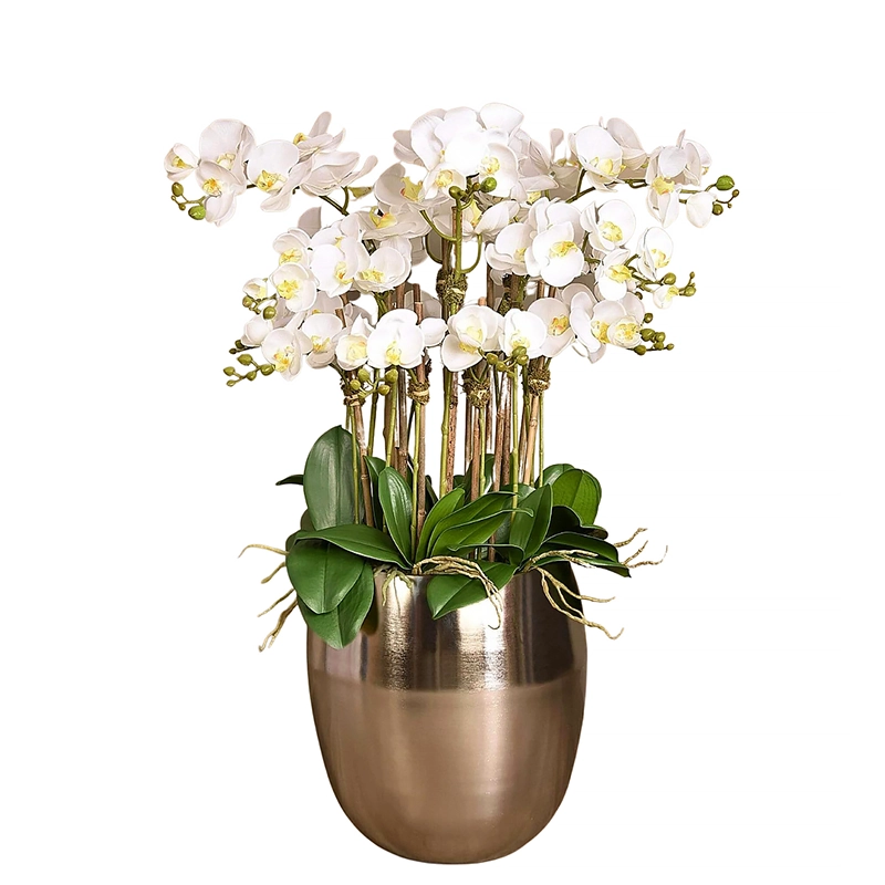 Silver Orchid Arrangement