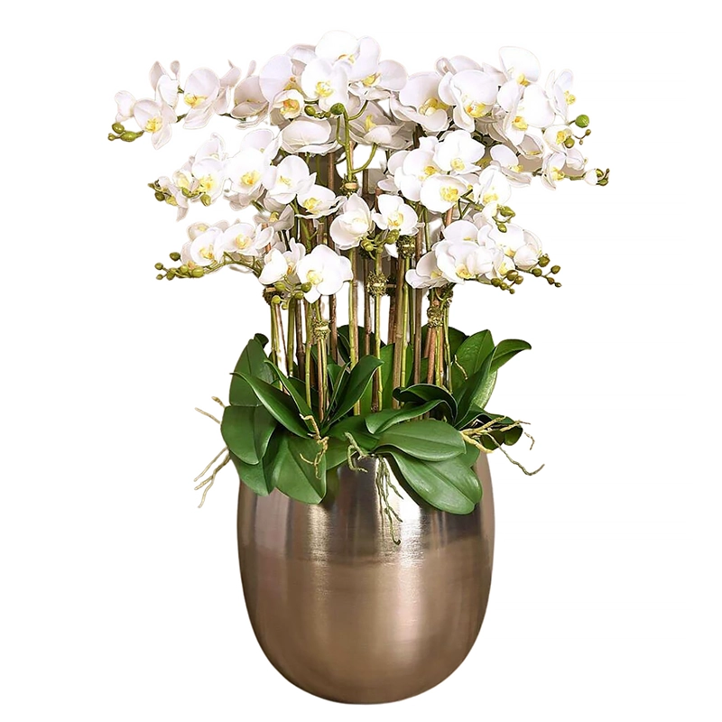 Silver Orchid Arrangement