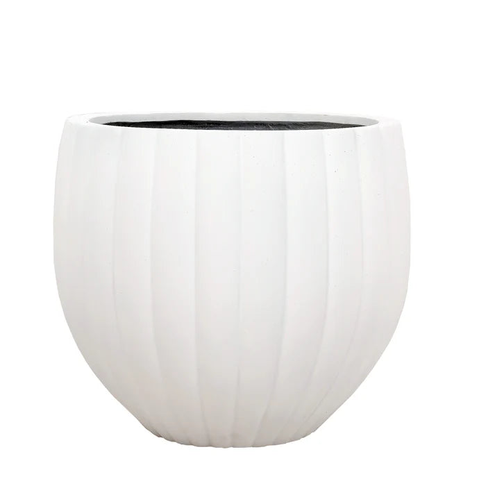 Large Round Ficonstone Tree Pot Medium