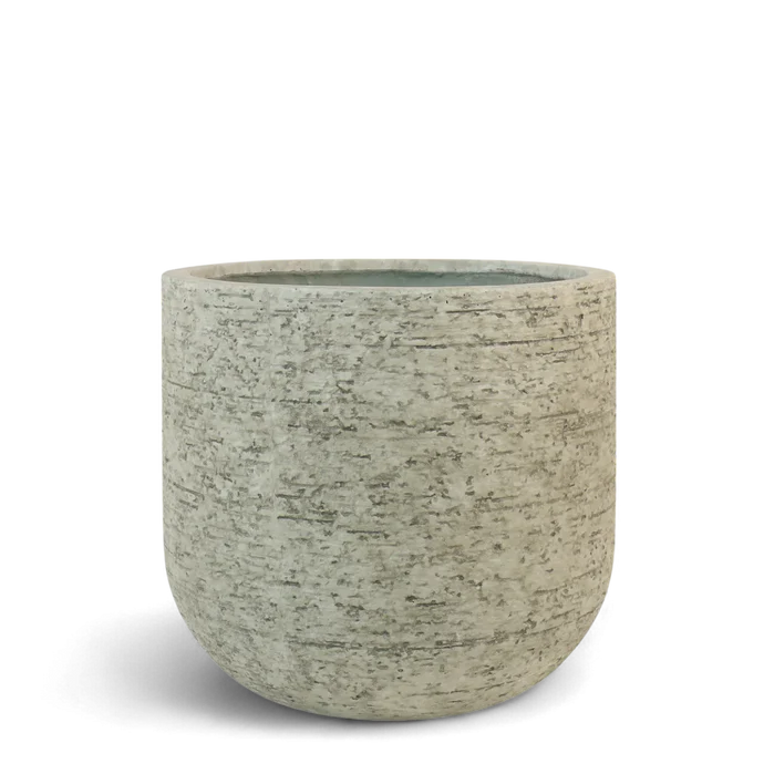 Round Ficonstone Pot Medium