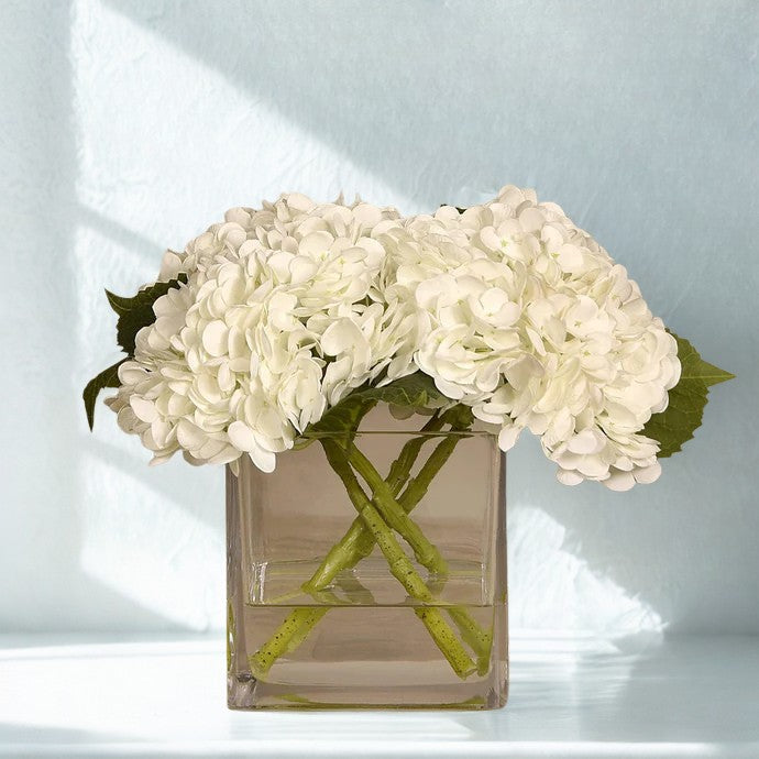 WHITE Hydrangea in a square glass vase Large