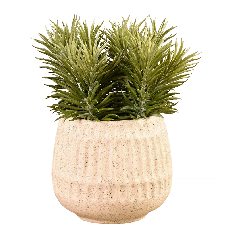 Artificial Potted Succulent in Sand Pot