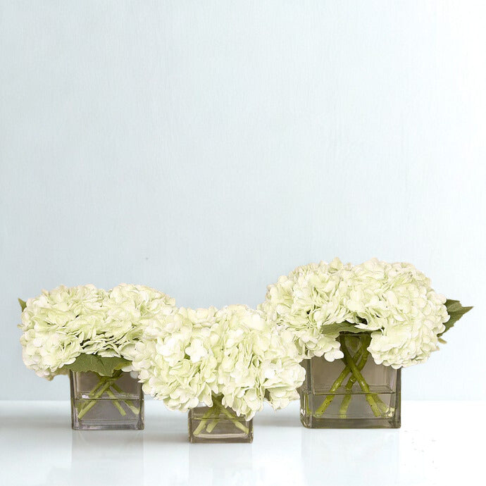 GREEN Hydrangea in a square glass vase SMALL