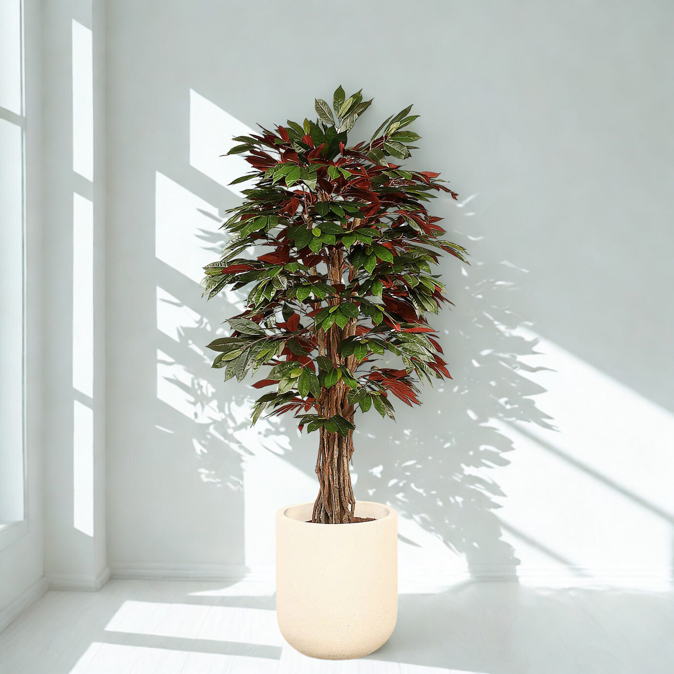 Artificial Capensia fig Tree 180cm