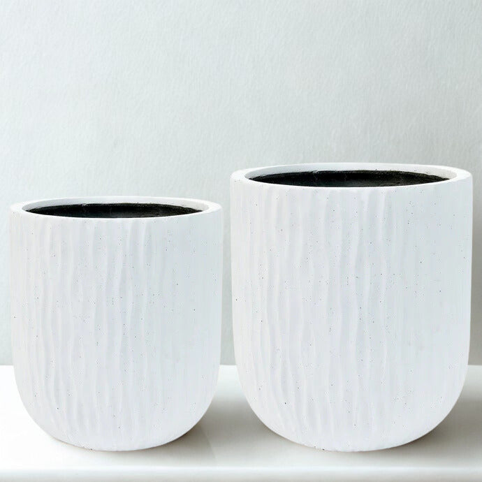 Matt White Ficonstone Tree Pot