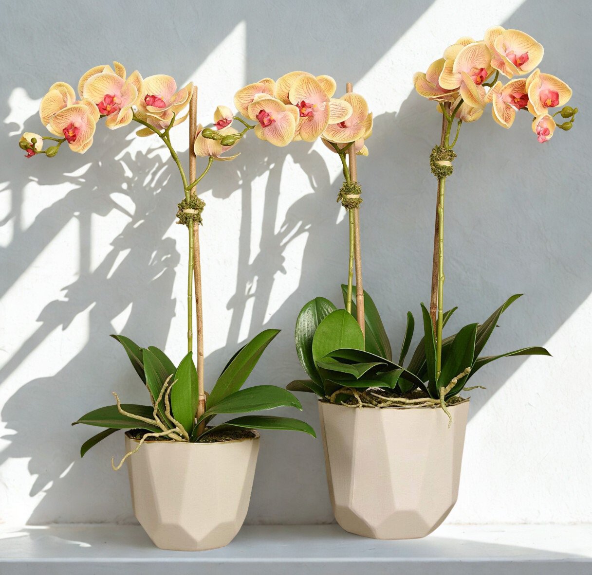 Artificial Orchid Arrangement