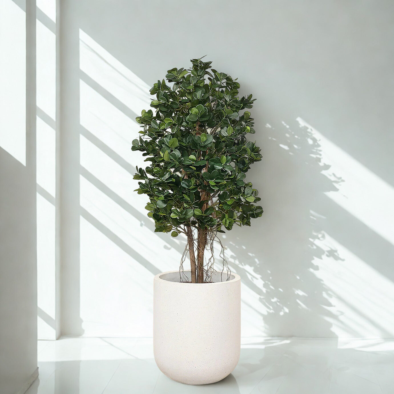 Artificial Panda Ficus Tree 120cm