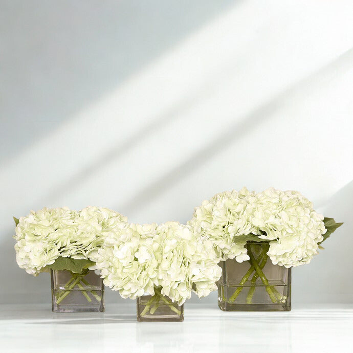 WHITE Hydrangea in a square glass vase Small