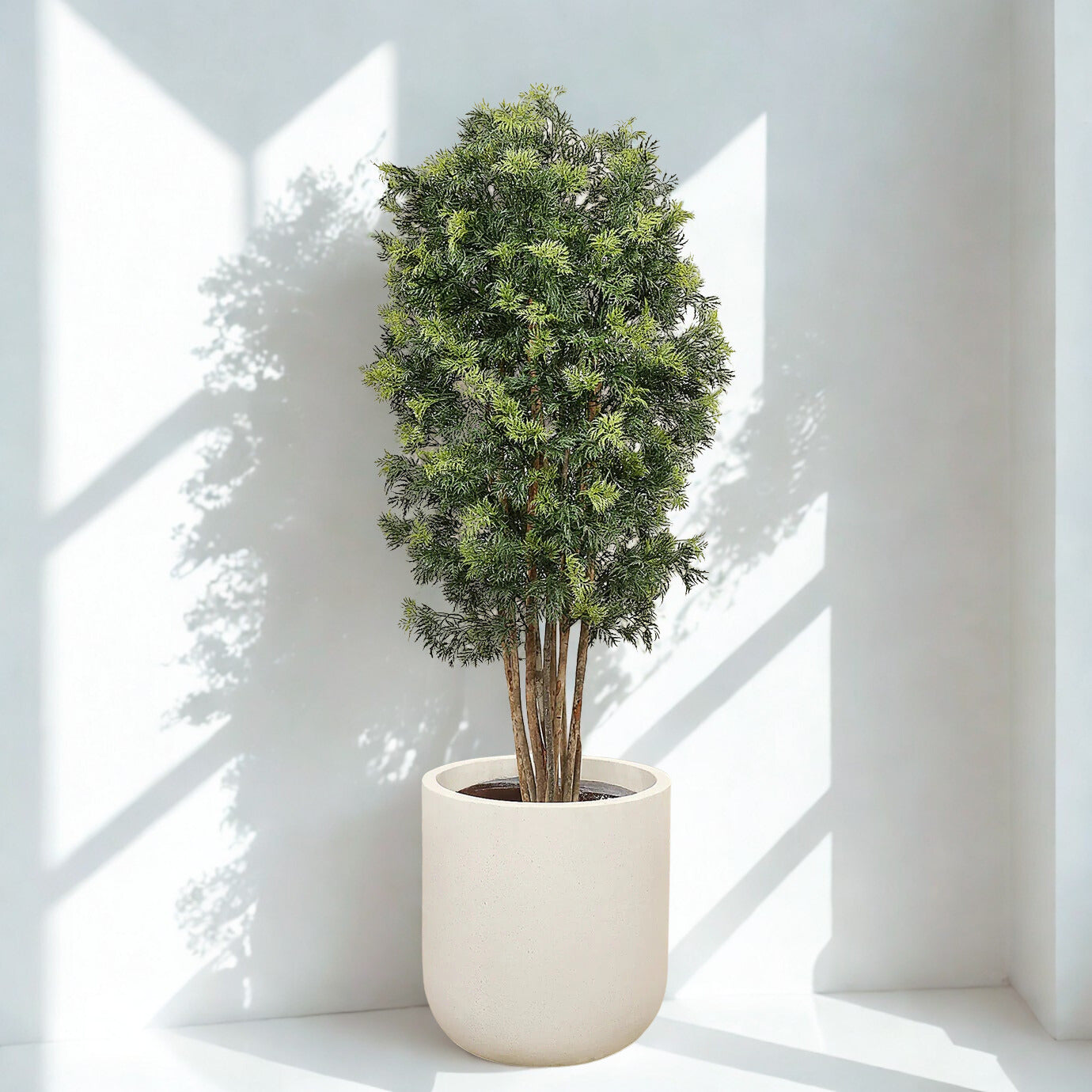Artificial Aralia Tree 180cm