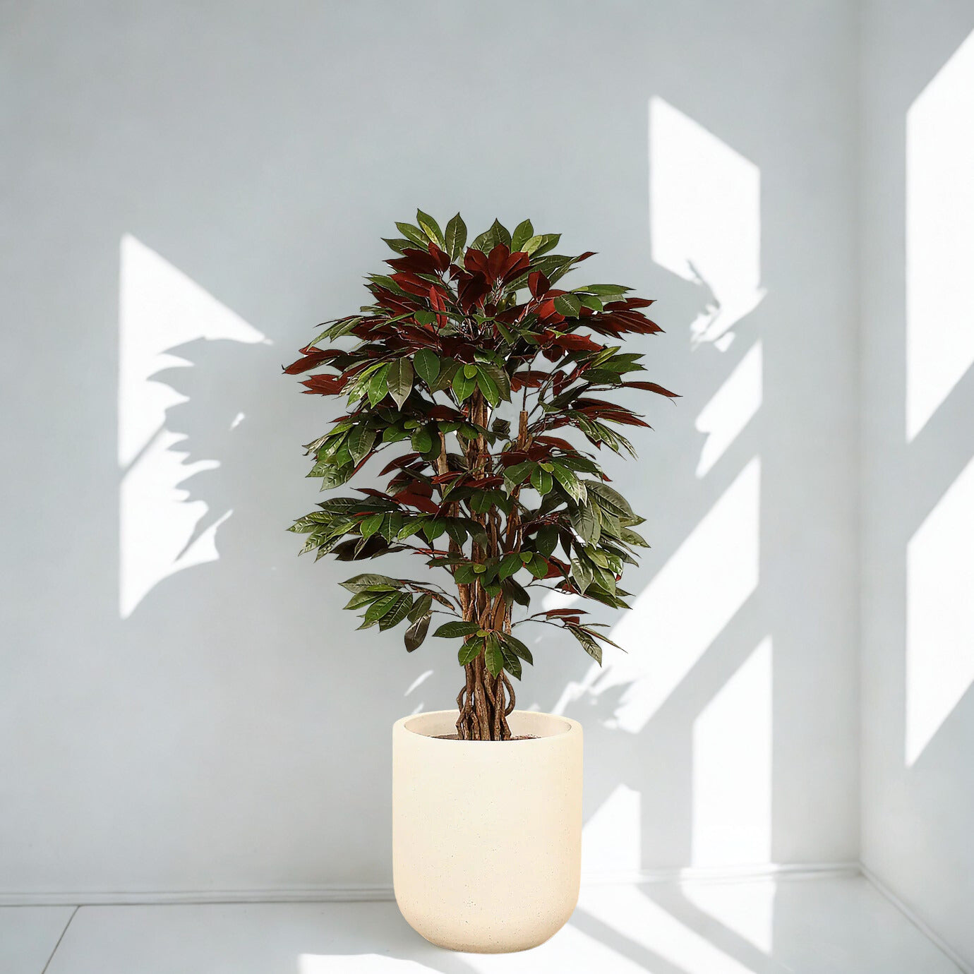 Artificial Capensia fig Tree 150cm