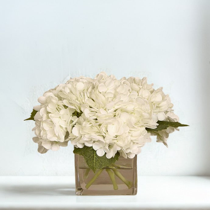 WHITE Hydrangea in a square glass MEDIUM