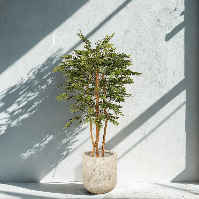ARTIFICIAL ACACIA TREE 150CM