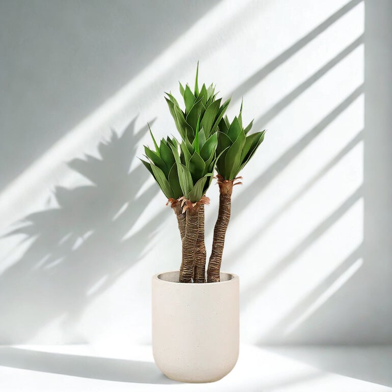 ARTIFICIAL AGAVE TREE 120CM