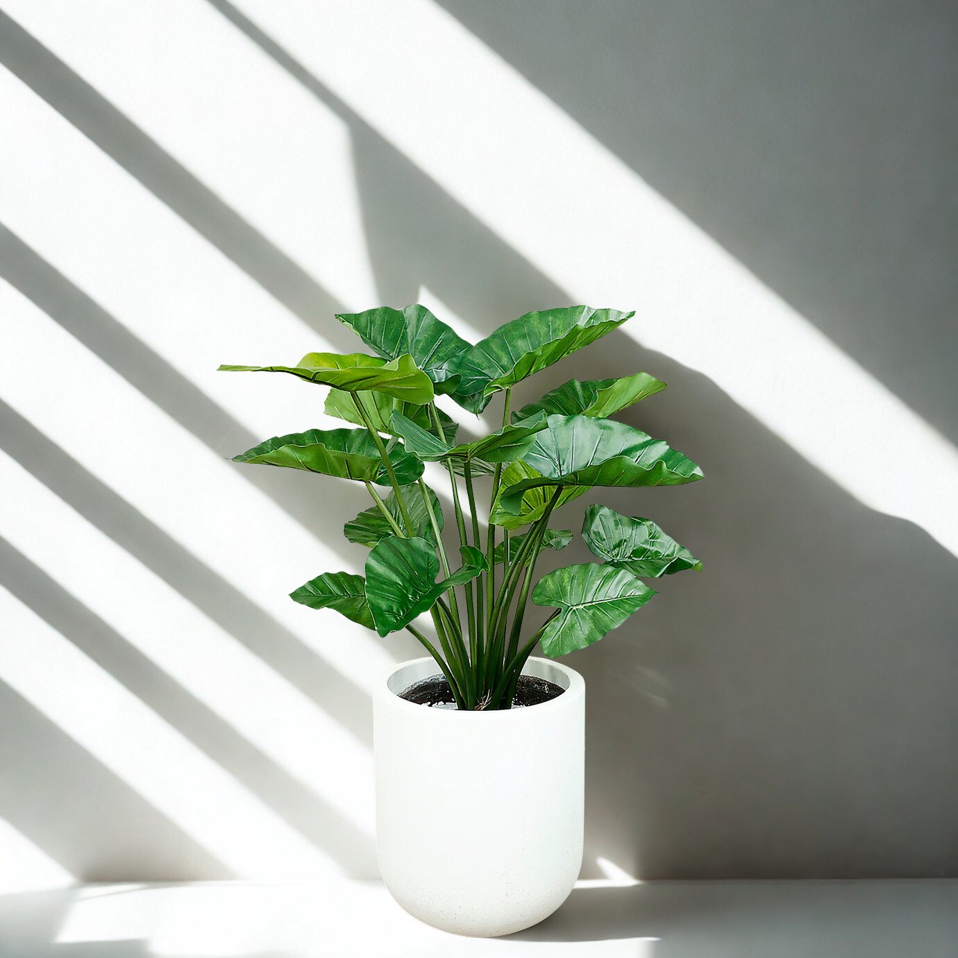 ARTIFICIAL ALOCASIA TREE 80CM