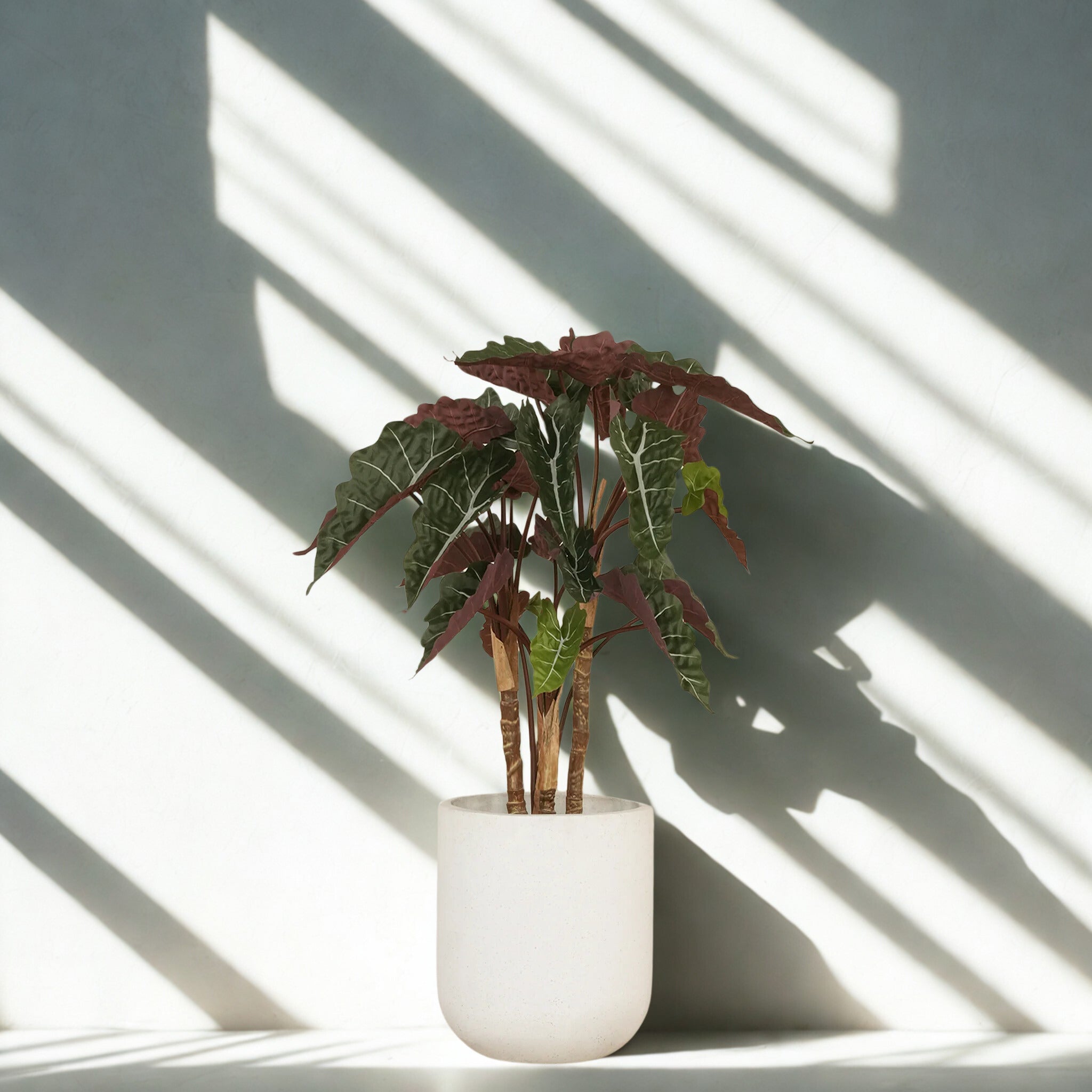 ARTIFICIAL ALOCASIA TREE 80CM