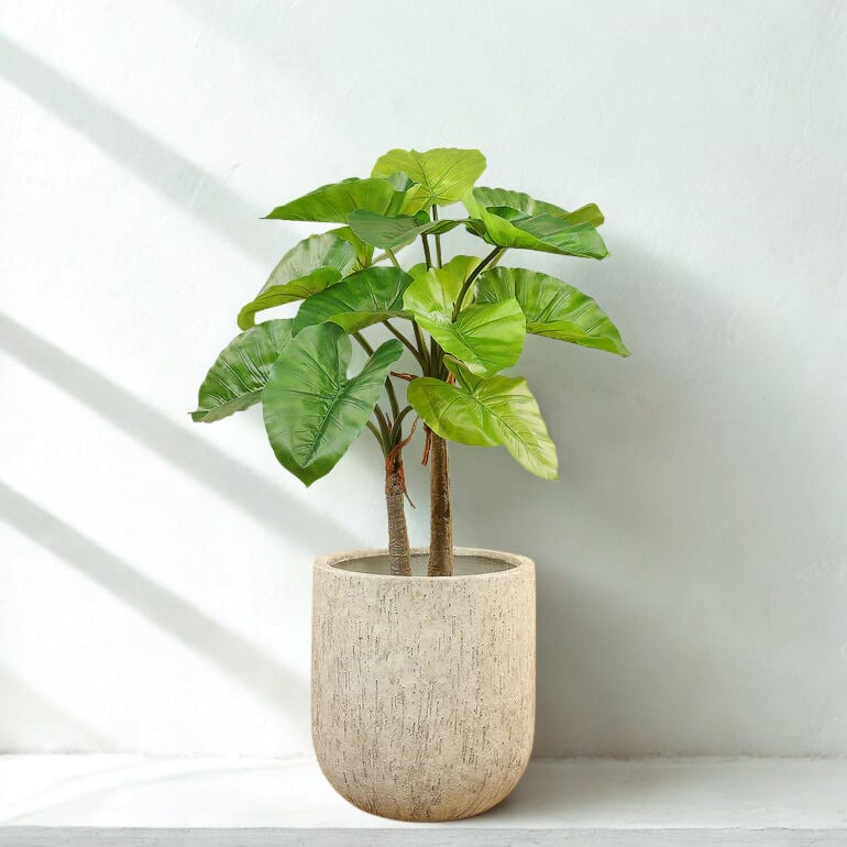 ARTIFICIAL ALOCASIA TREE 90CM