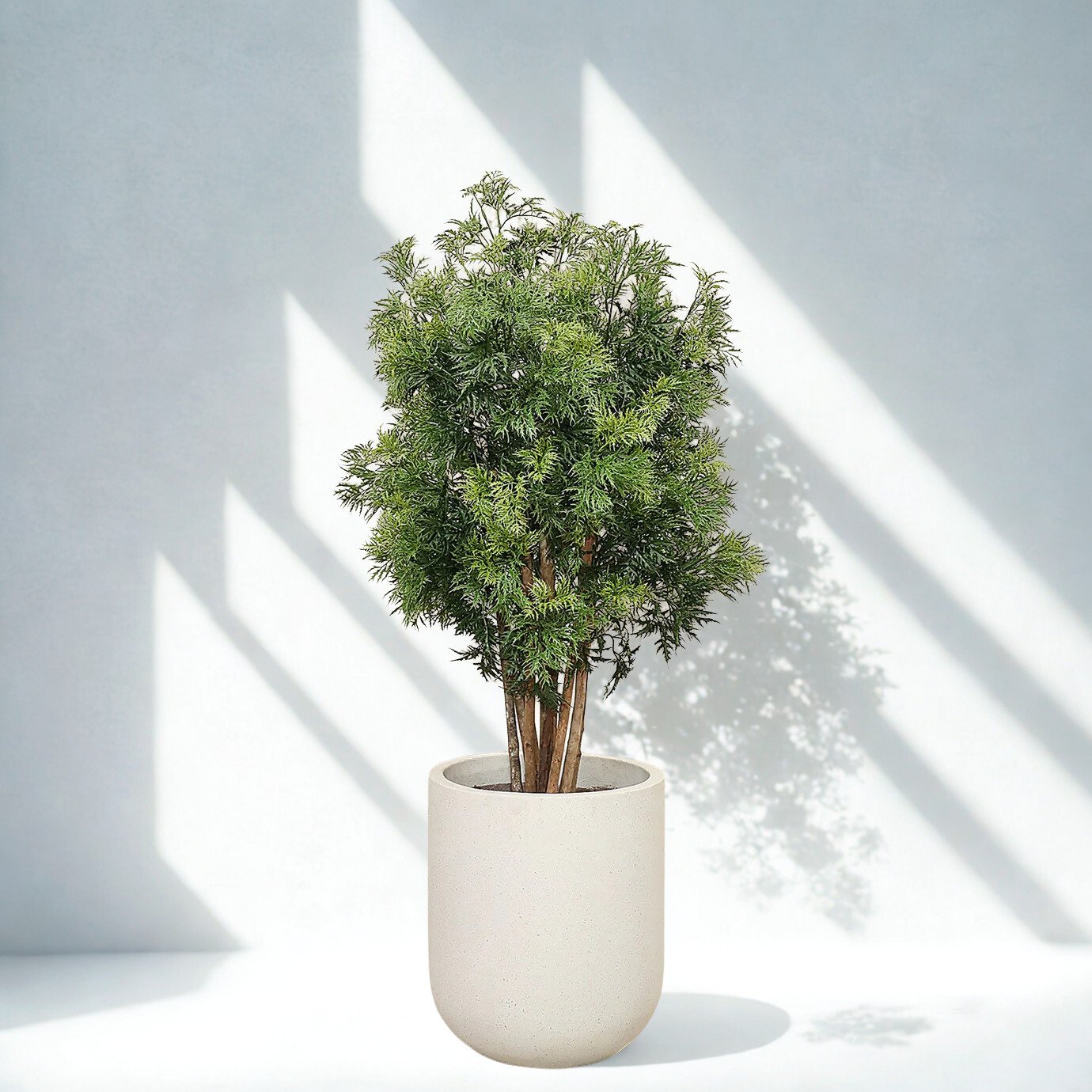 ARTIFICIAL ARALIA TREE 120CM
