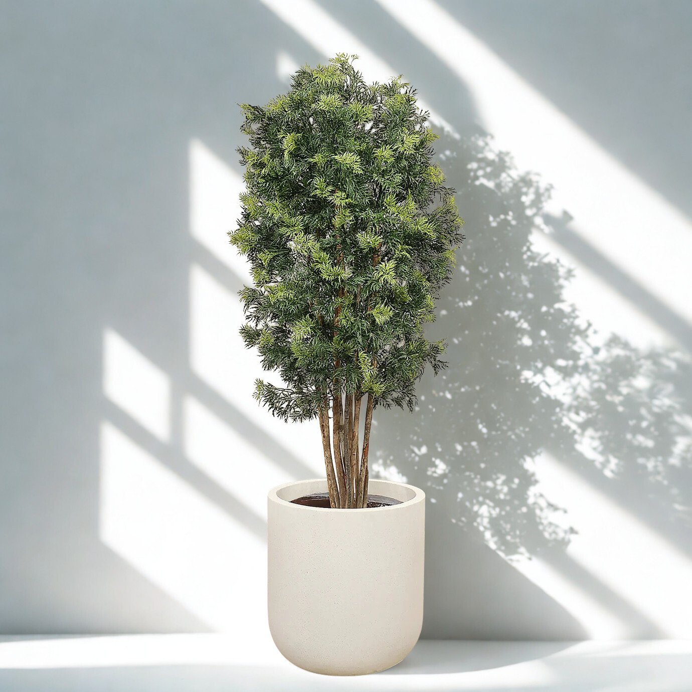 ARTIFICIAL ARALIA TREE 180CM