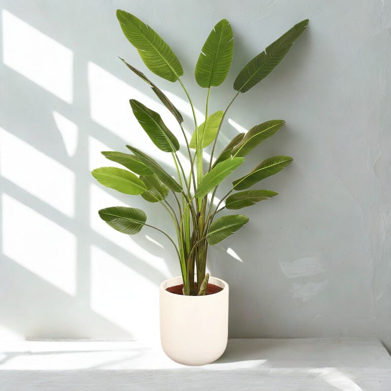 ARTIFICIAL BANANA TREE 240CM