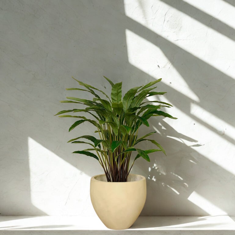ARTIFICIAL CALATHEA TREE 60CM