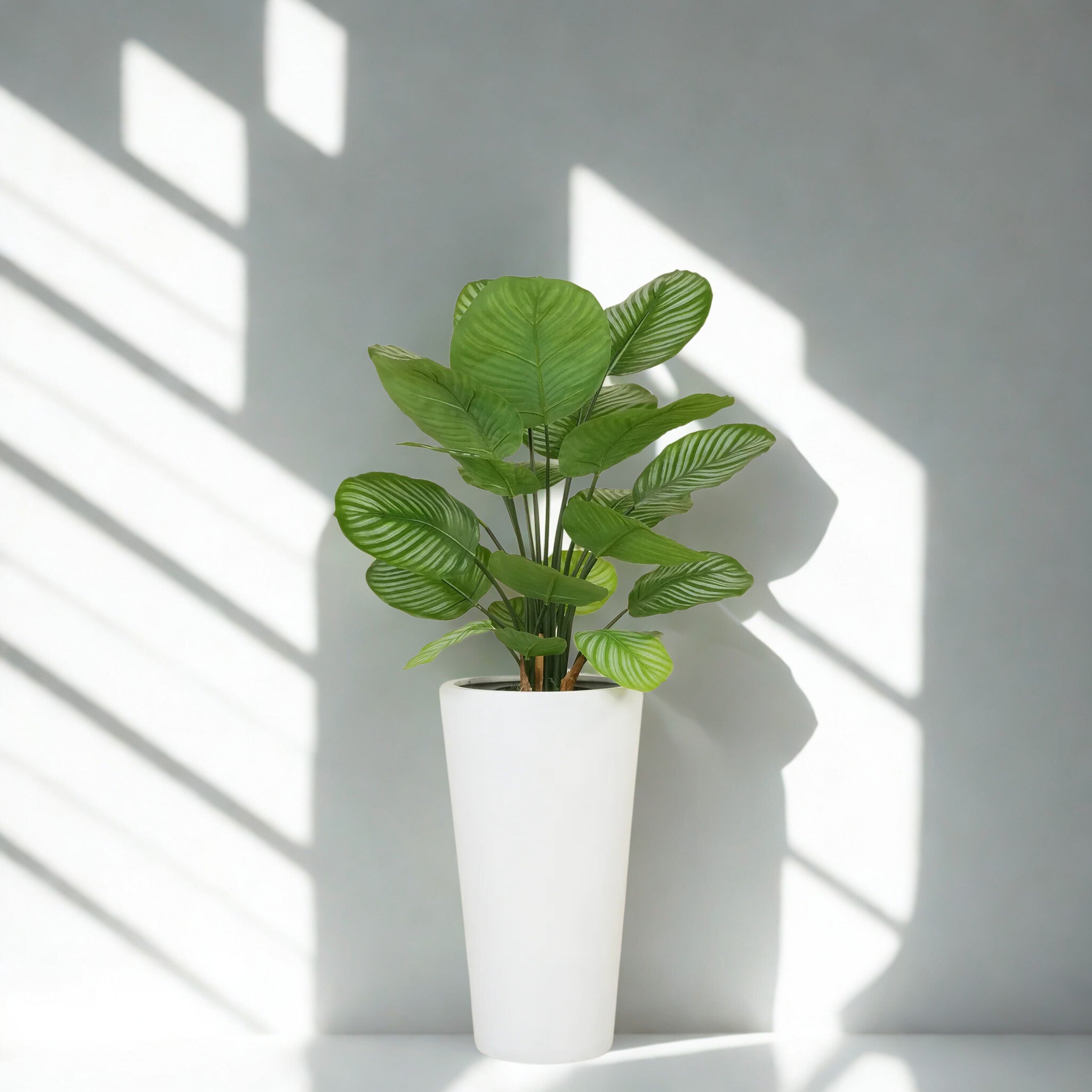 ARTIFICIAL CALATHEA TREE 70CM