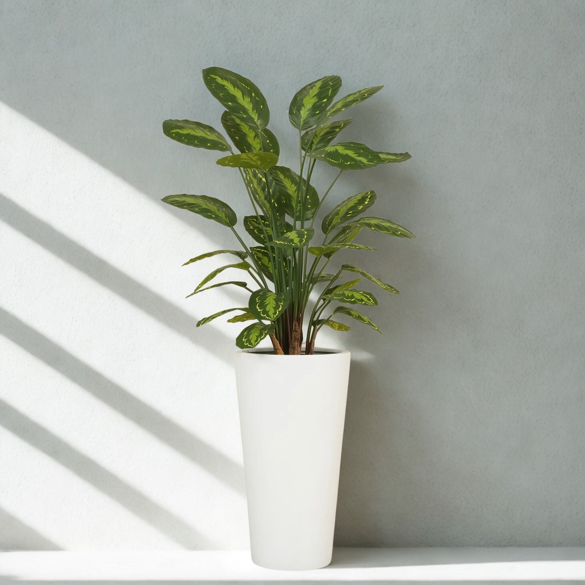 ARTIFICIAL CALATHEA TREE 75CM