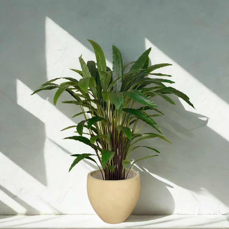ARTIFICIAL CALATHEA TREE 90CM
