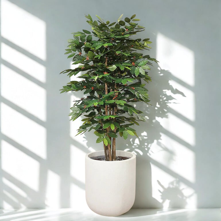 ARTIFICIAL COFFEE TREE 180CM