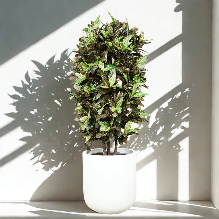 ARTIFICIAL CROTON PLANT 150CM