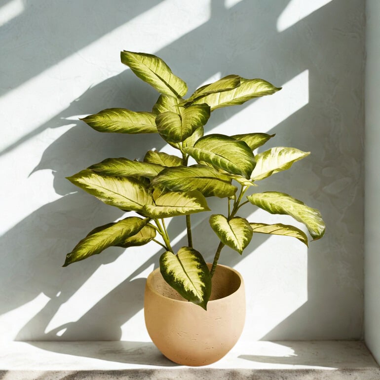 ARTIFICIAL DIFFENBACHIA PLANT 110CM